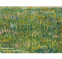Flotex Vision Pattern 941 (Van Gogh) Patch of Grass фото 2 | FLOORDEALER